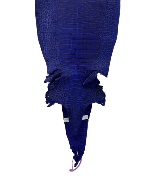 26 cm Grade 3/4 Cobalt Blue Matte Farm-Raised American Alligator Leather - Tag: FL21-0024620