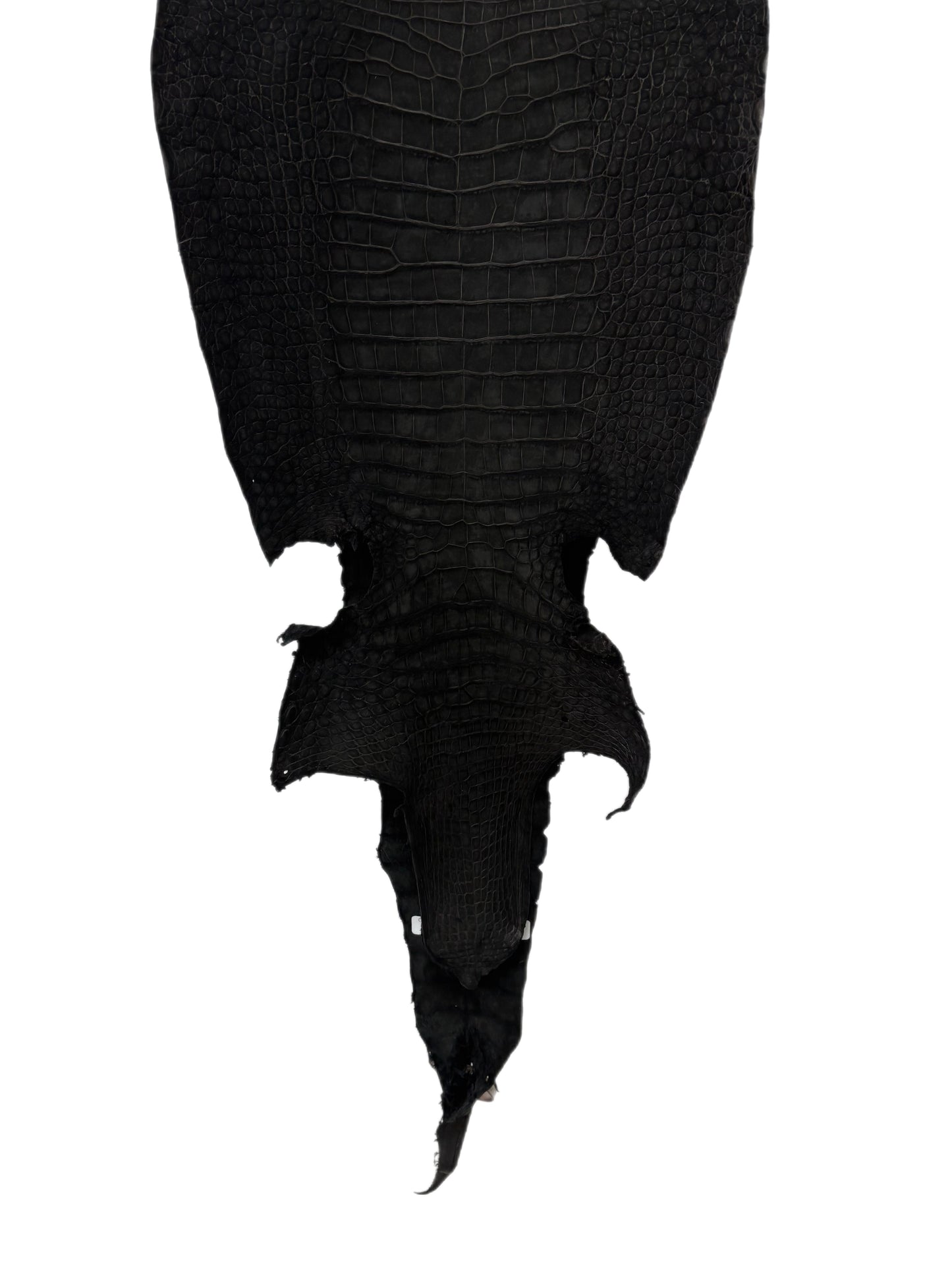 37 cm Grade 2/3 Black Nubuck Wild American Alligator Leather - Tag: LA23-0018416