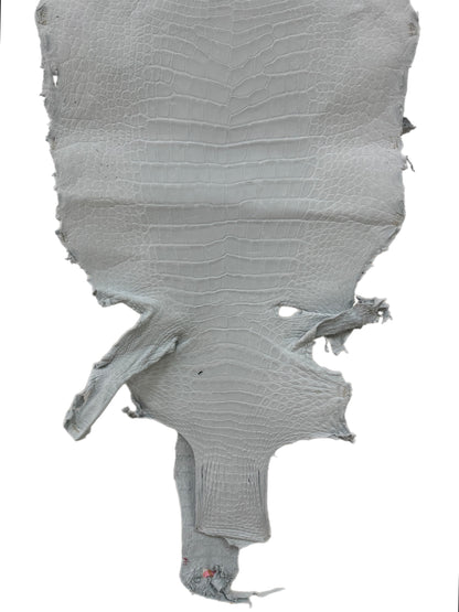 46 cm Grade 4/5 White Crust Wild American Alligator Leather - Tag: LA24-0022746