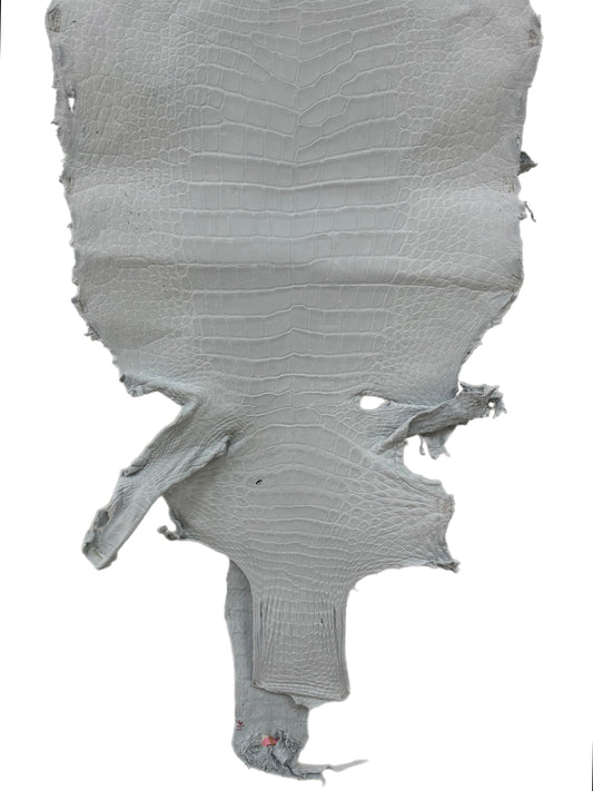 46 cm Grade 4/5 White Crust Wild American Alligator Leather - Tag: LA24-0022746