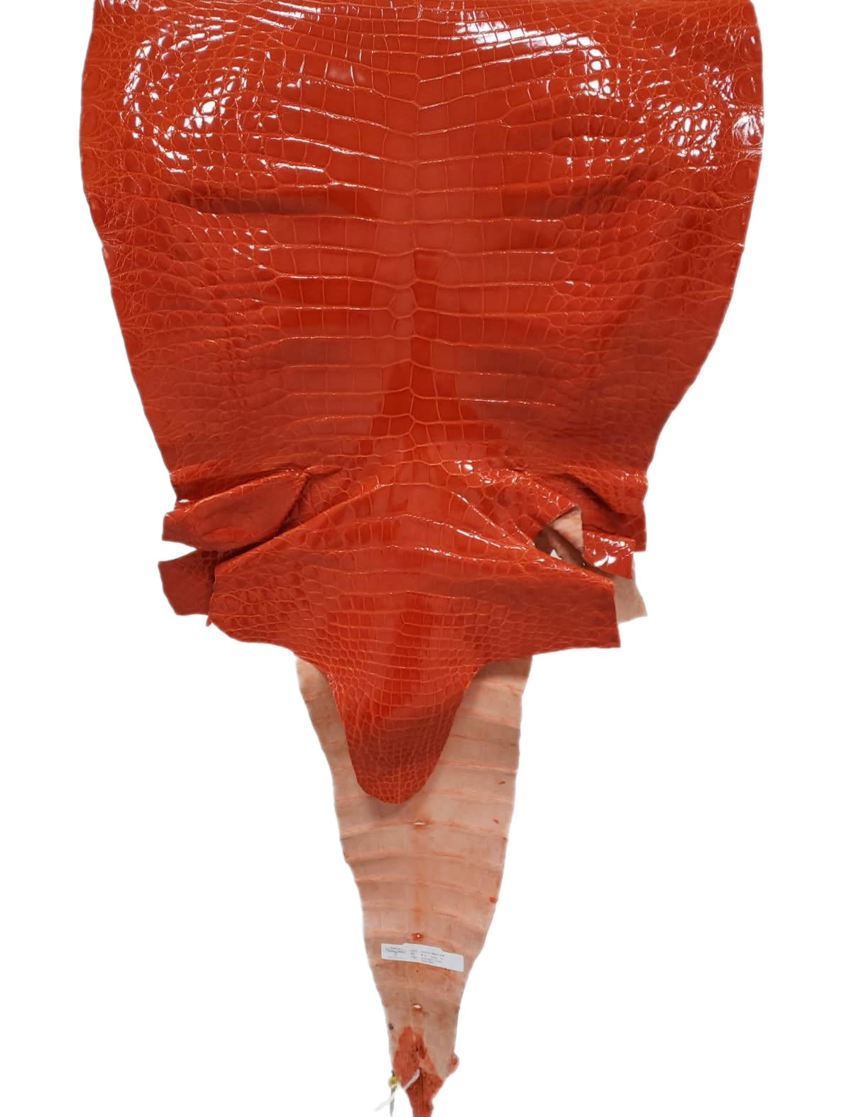 58 cm Grade 1/2 Mandarina Glazed Farm-Raised American Alligator Leather - Tag: FL14-0004049