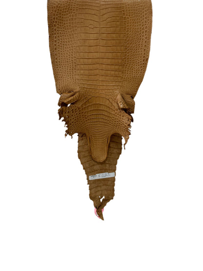 30 cm Grade 2/3 Antique Saddle Matte Farm-Raised American Alligator Leather - Tag: FL21-0024080