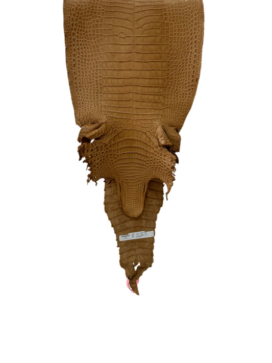 30 cm Grade 2/3 Antique Saddle Matte Farm-Raised American Alligator Leather - Tag: FL21-0024080