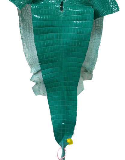 40 cm Grade 3/4 Tiffany Blue Glazed Farm Raised American Alligator Leather - Tag: FL14-0003686