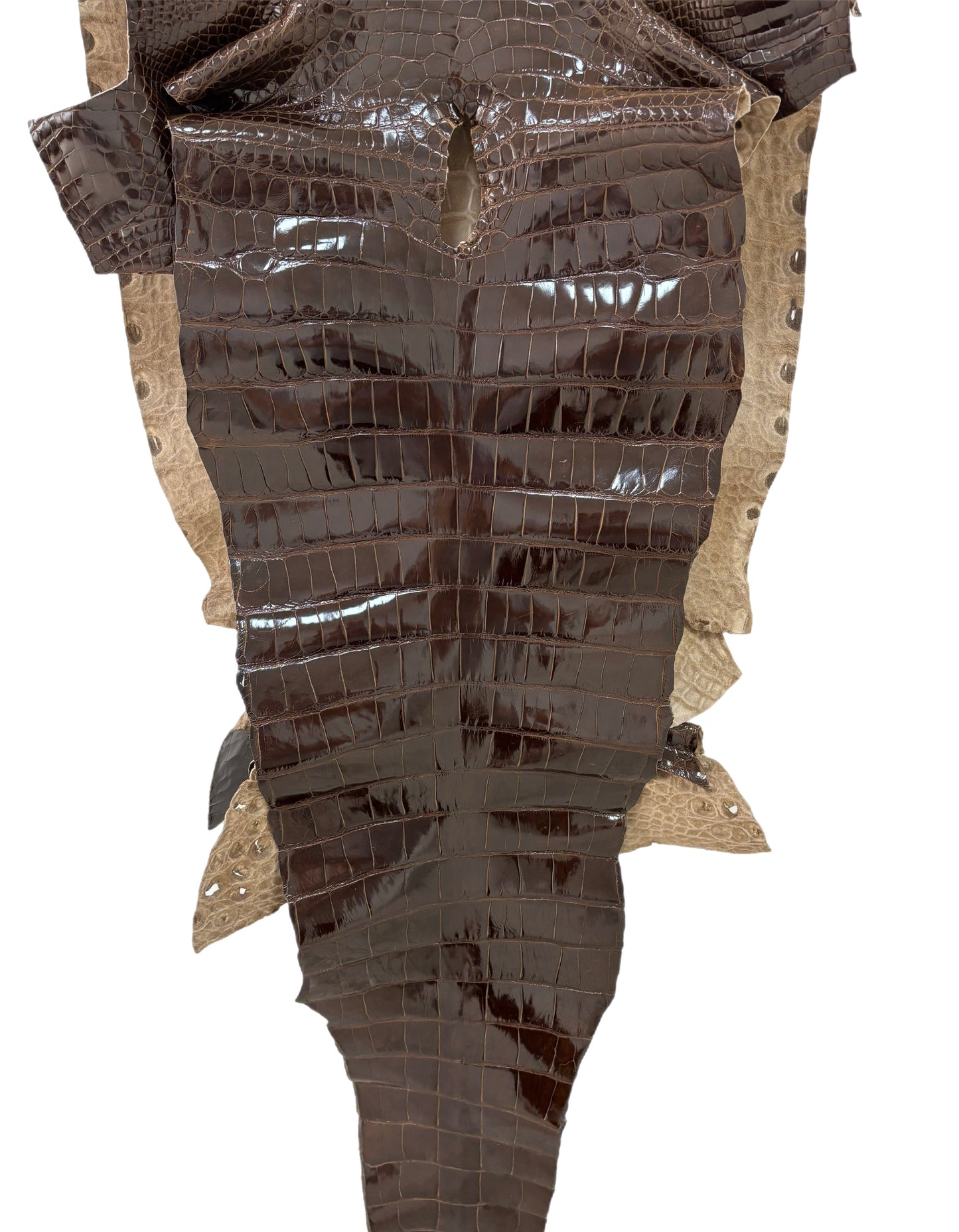 55 cm Grade 2/3 Sport Rust Brown Glazed Farm-Raised American Alligator Leather - Tag: LA14-0074034