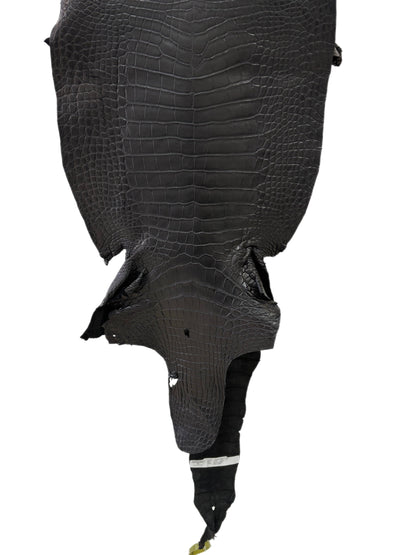 40 cm Grade 1/2 Black Matte Wild American Alligator Leather - Tag: LA22-0020303