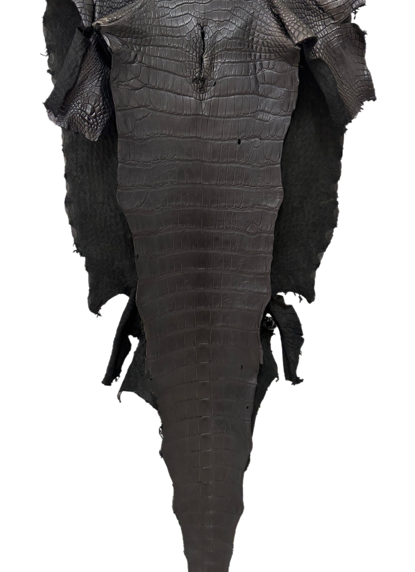 55 cm Grade 3/4 Black Matte Wild American Alligator Leather - Tag: LA23-0024470