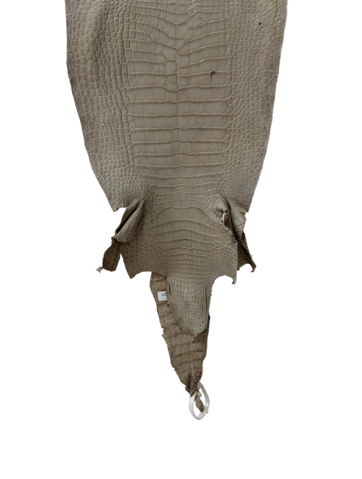30 cm Grade 3/4 Stormy Matte Wild American Alligator Leather - Tag: LA23-0050124