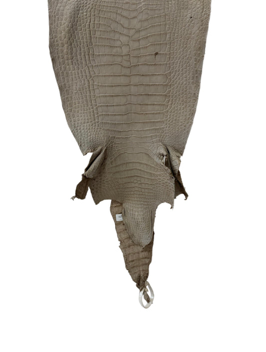 30 cm Grade 3/4 Stormy Matte Wild American Alligator Leather - Tag: LA23-0050124