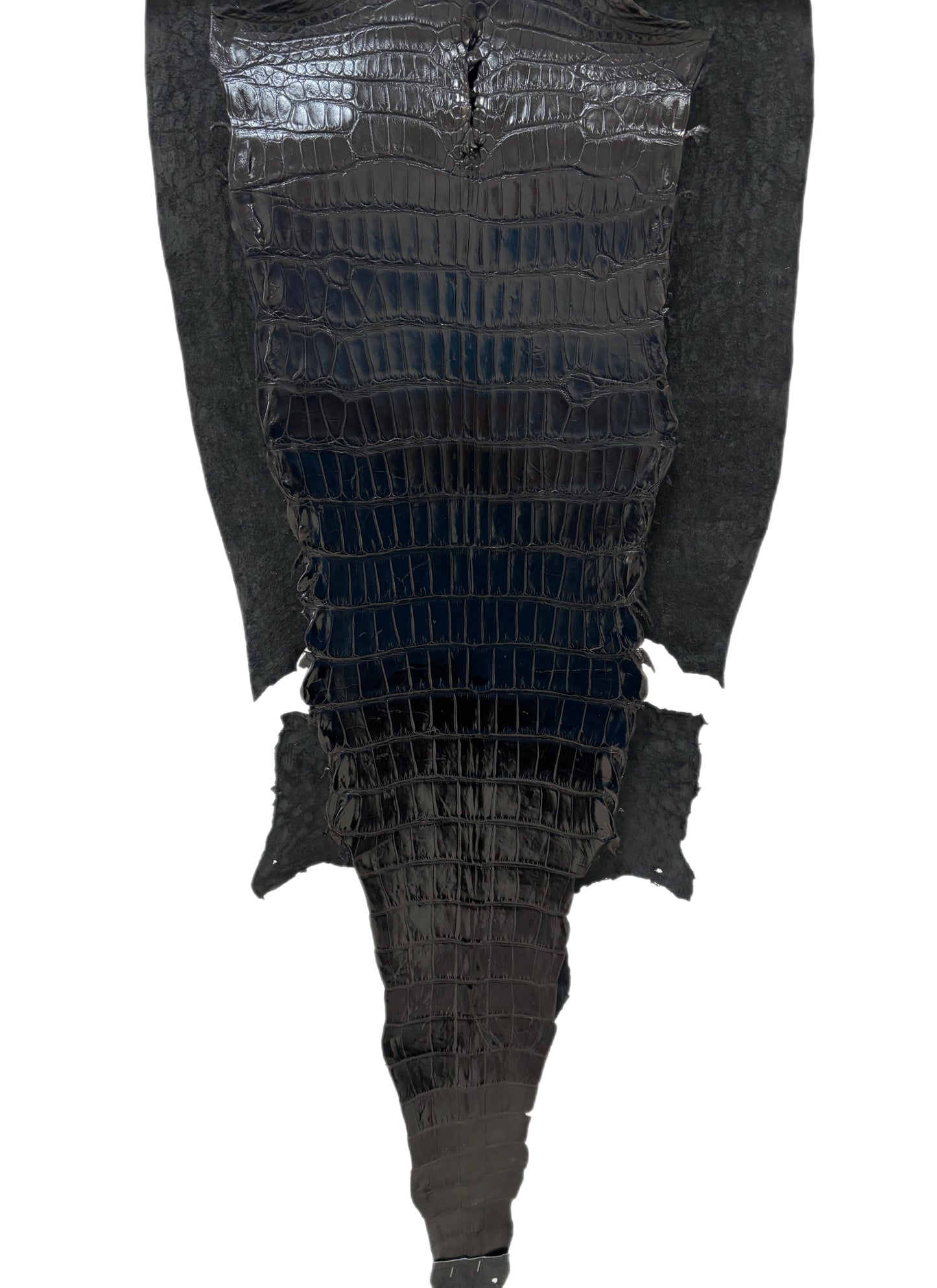43 cm Grade 1/2 Black Millennium Wild American Alligator Leather - Tag: LA23-0006298