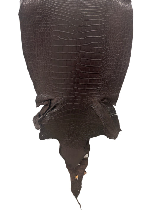 41 cm Grade 2/3 Kralle Brown Desert Wild American Alligator Leather - Tag: LA23-0021502