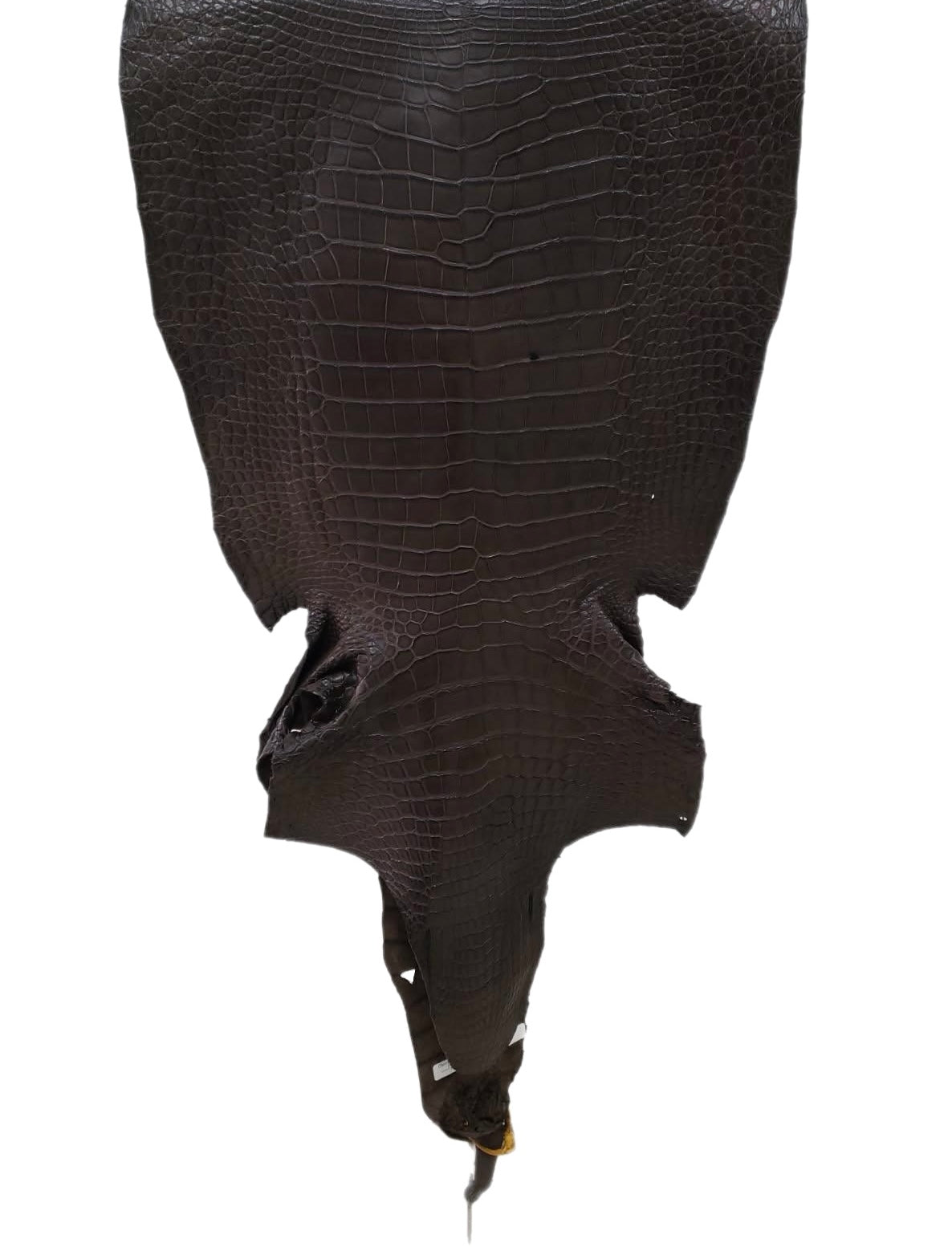 47 cm Grade 3/4 Kralle Brown Matte Wild American Alligator Leather - Tag: LA23-0034364