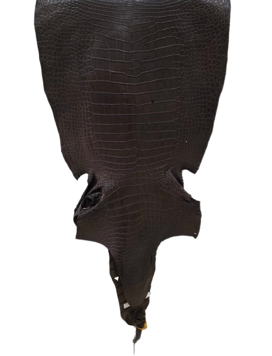 47 cm Grade 3/4 Kralle Brown Matte Wild American Alligator Leather - Tag: LA23-0034364