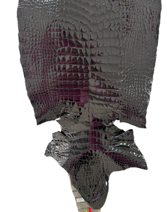 48 cm Grade 4/5 Black Glazed Wild American Alligator Leather - Tag: ITCC-0539903
