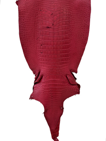 42 cm Grade 3/4 Scarlet Matte Wild American Alligator Leather - Tag: LA23-0027784