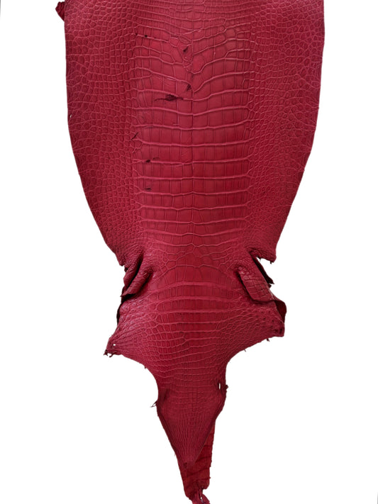42 cm Grade 3/4 Scarlet Matte Wild American Alligator Leather - Tag: LA23-0027784
