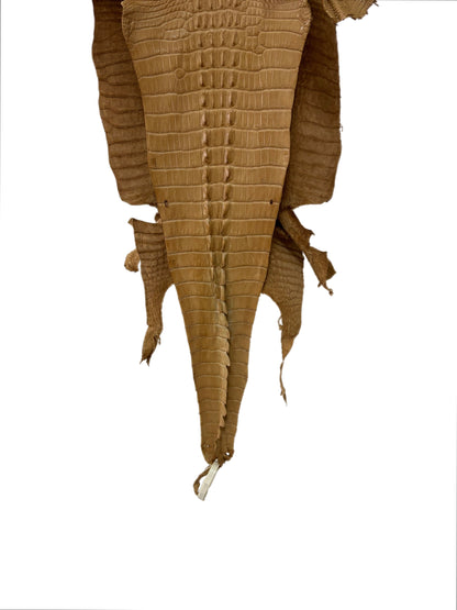 33 cm Grade 2/3 Antique Saddle Matte Farm-Raised American Alligator Hornback Leather - Tag: LA23-0377063