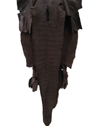 43 cm Grade 3/4 Kralle Brown Matte Wild American Alligator Leather - Tag: LA16-0032979