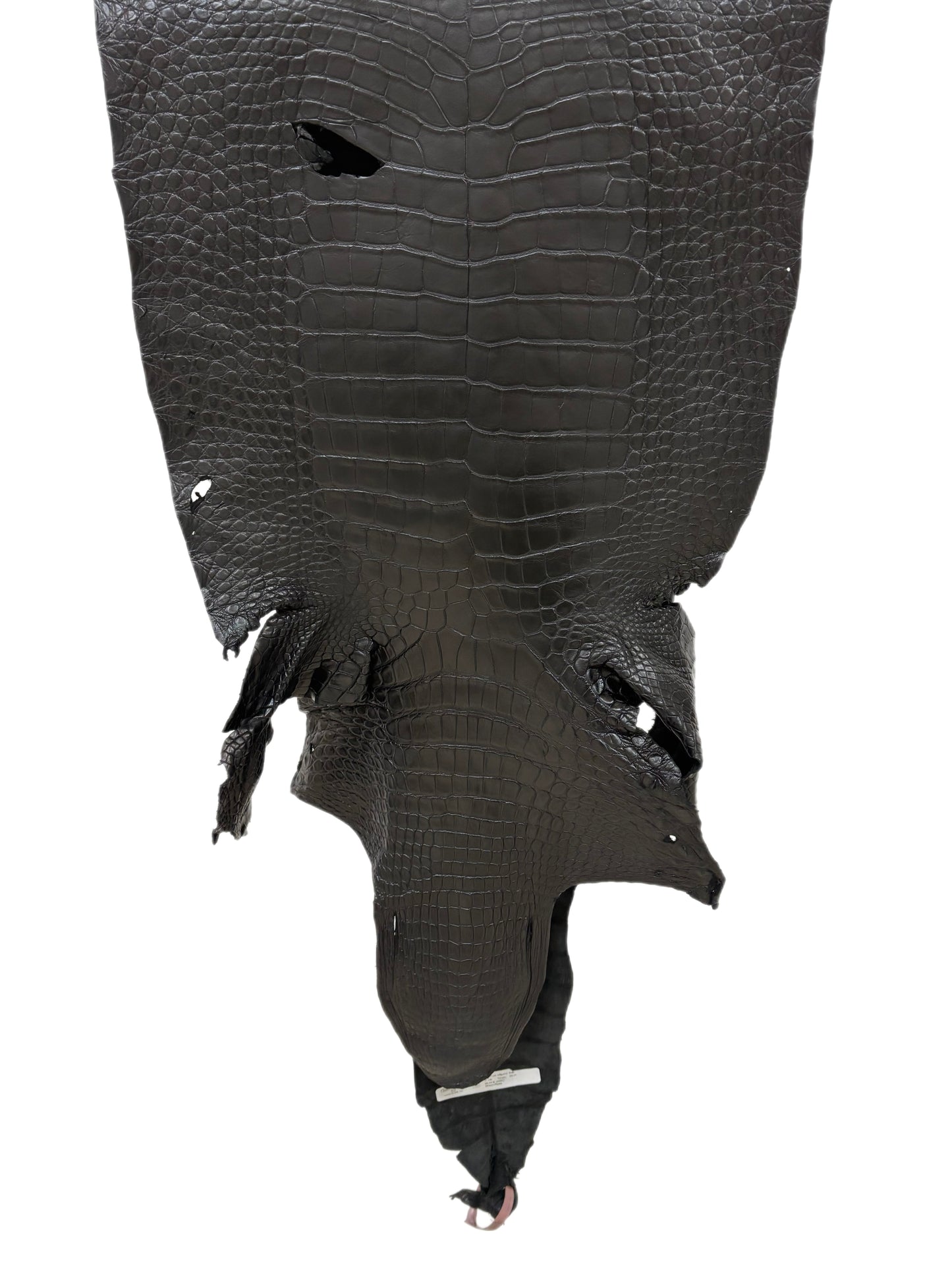 47 cm Grade 3/4 Black Matte Wild American Alligator Leather - Tag: LA24-0039686