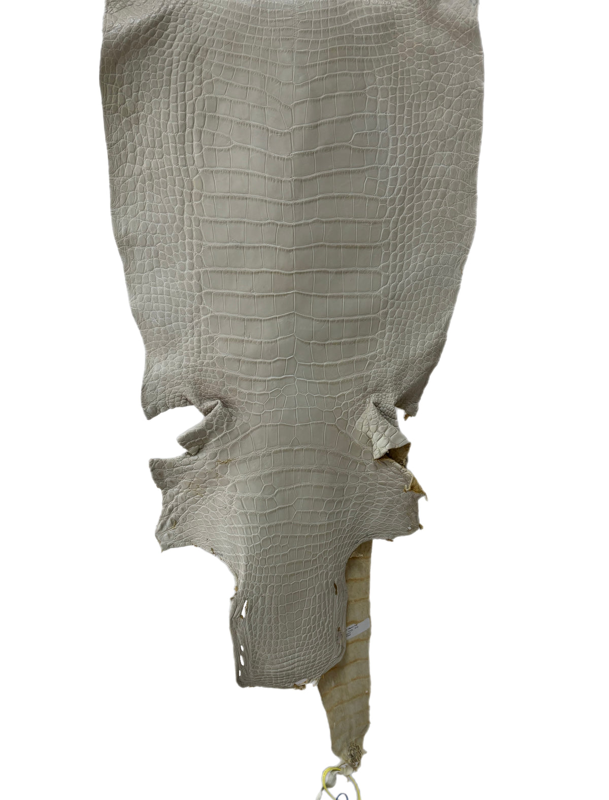 44 cm Grade 2/3 Dune Matte Wild American Alligator Leather - Tag: LA25-0019040
