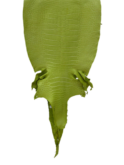 37 cm Grade 3/4 Chartreuse Matte Wild American Alligator Leather - Tag: LA23-0003429