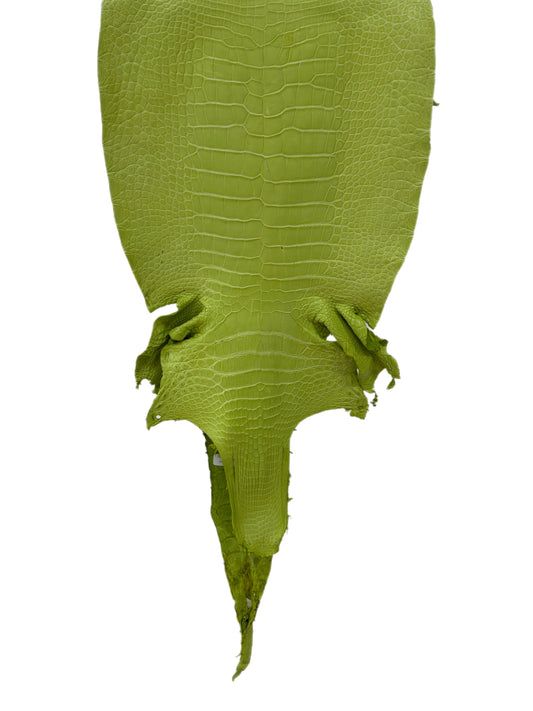 37 cm Grade 3/4 Chartreuse Matte Wild American Alligator Leather - Tag: LA23-0003429