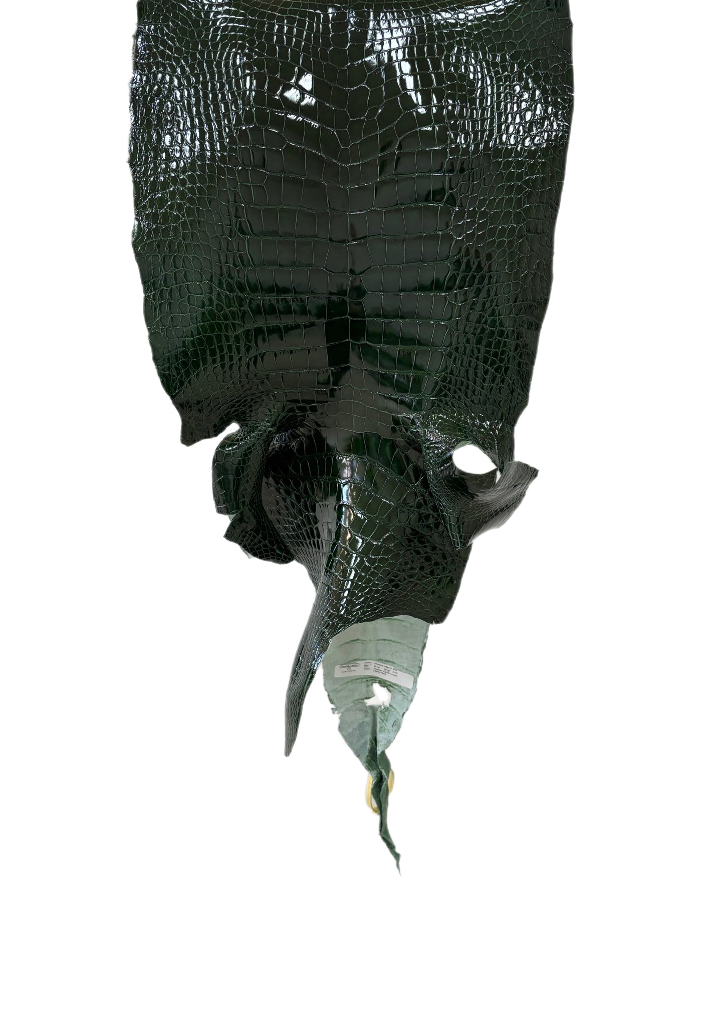 36 cm Grade 2/3 Forest Green Glazed Wild American Alligator Leather - Tag: LA16-0010818