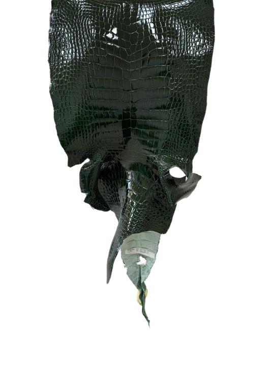 36 cm Grade 2/3 Forest Green Glazed Wild American Alligator Leather - Tag: LA16-0010818