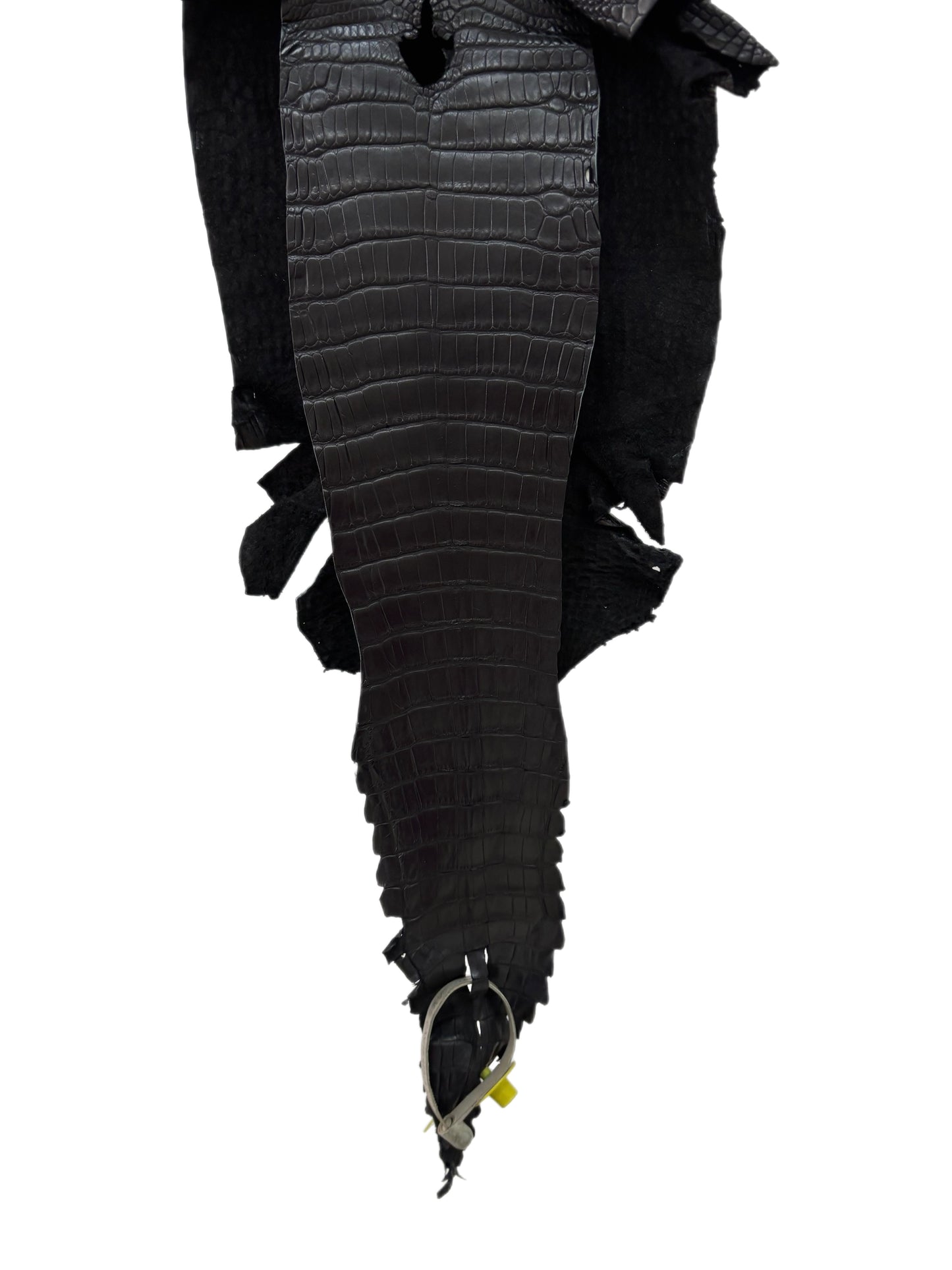 21 cm Grade 1/2 Black Matte Wild American Alligator Leather - Tag: LA08-0234226