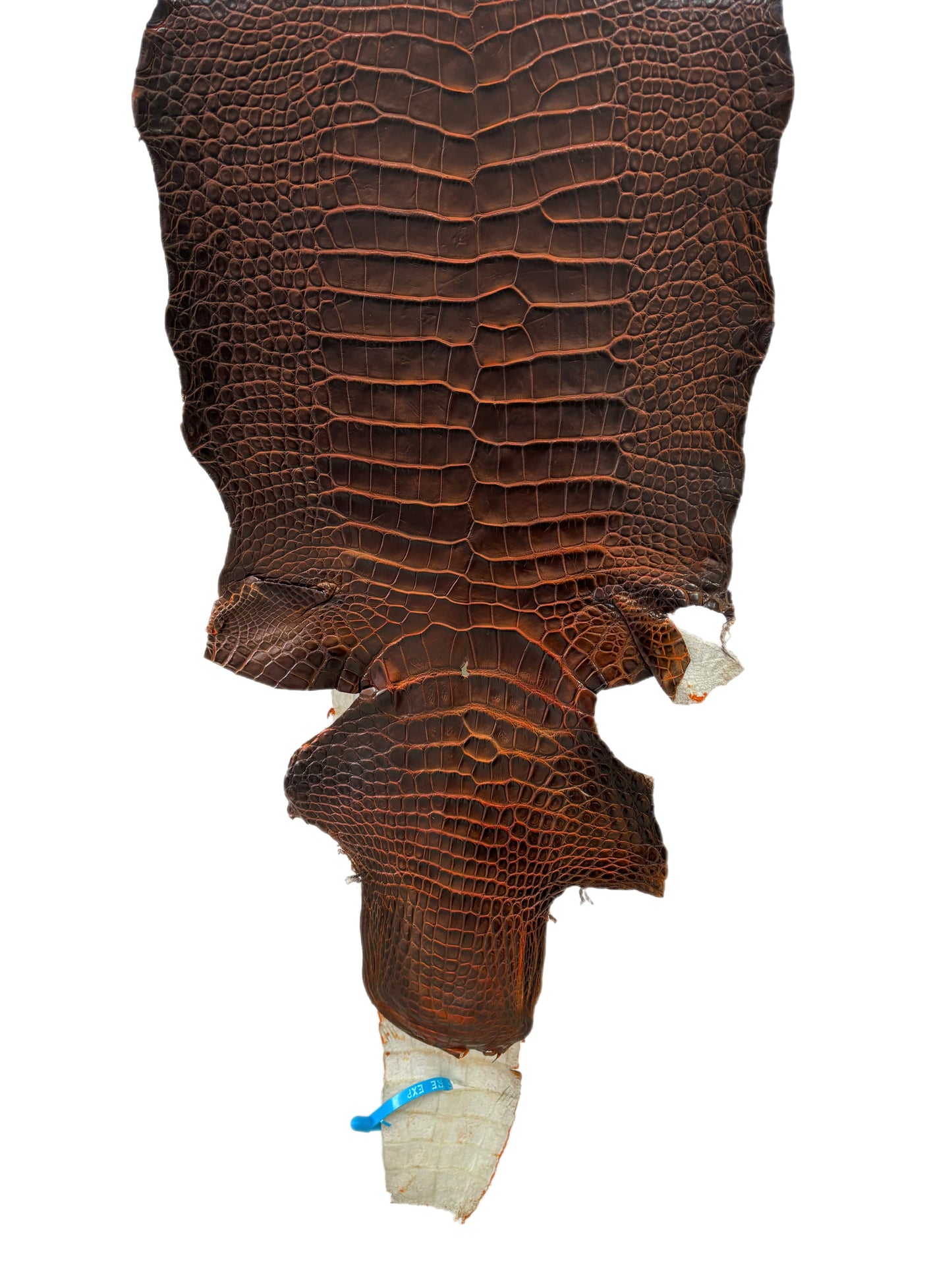33 cm Grade 1/2 Sienna Matte Wild American Alligator Leather - Tag: ESRE-0033698