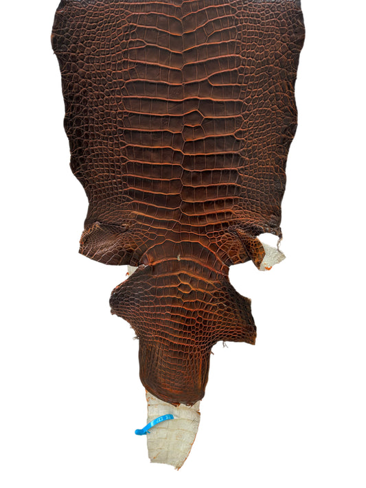 33 cm Grade 1/2 Sienna Matte Wild American Alligator Leather - Tag: ESRE-0033698