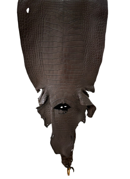 49 cm Grade 3/4 Dark Chocolate Matte Wild American Alligator Leather - Tag: LA23-0024676