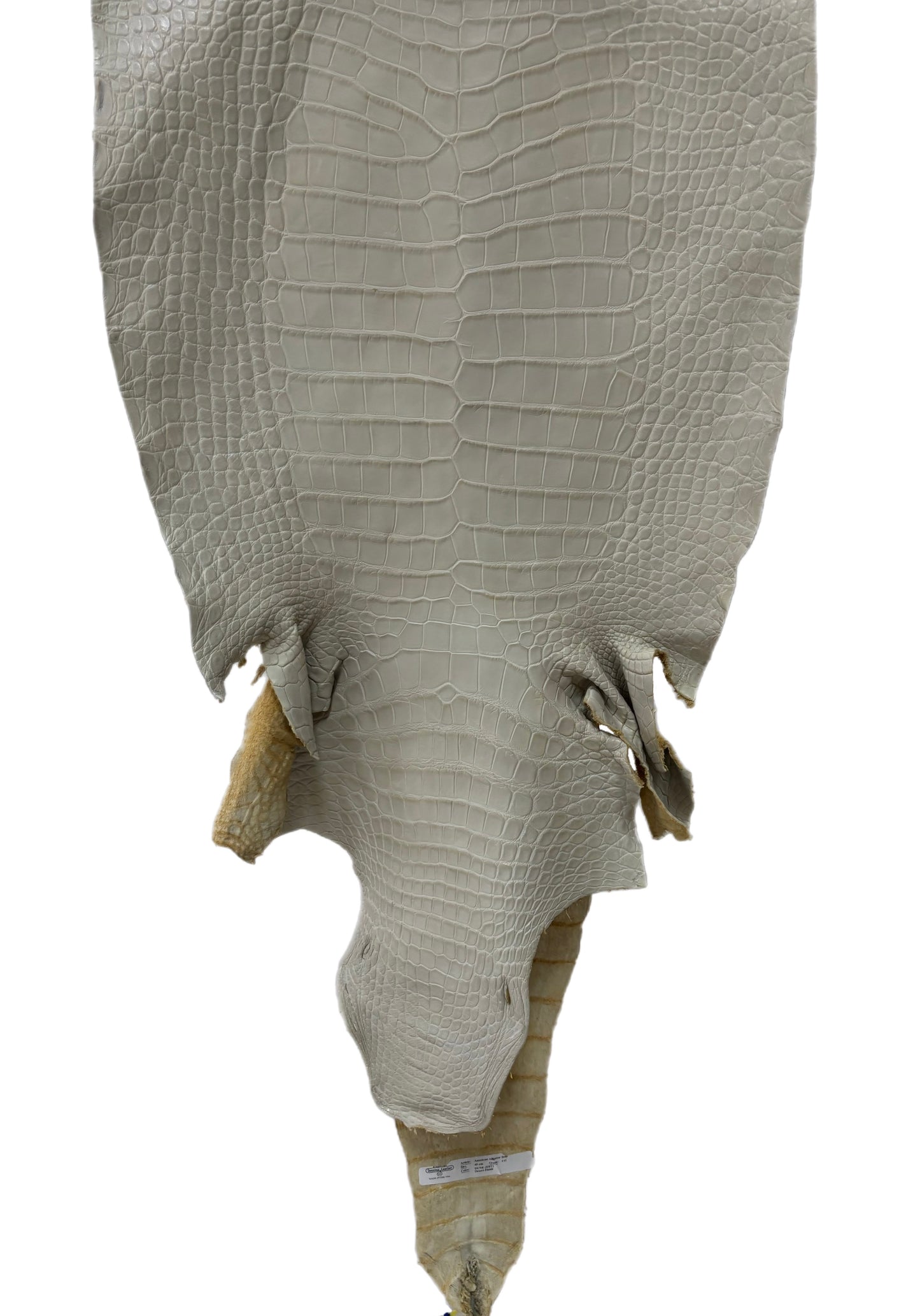 43 cm Grade 1/2 Dune Matte Wild American Alligator Leather - Tag: LA25-0007793