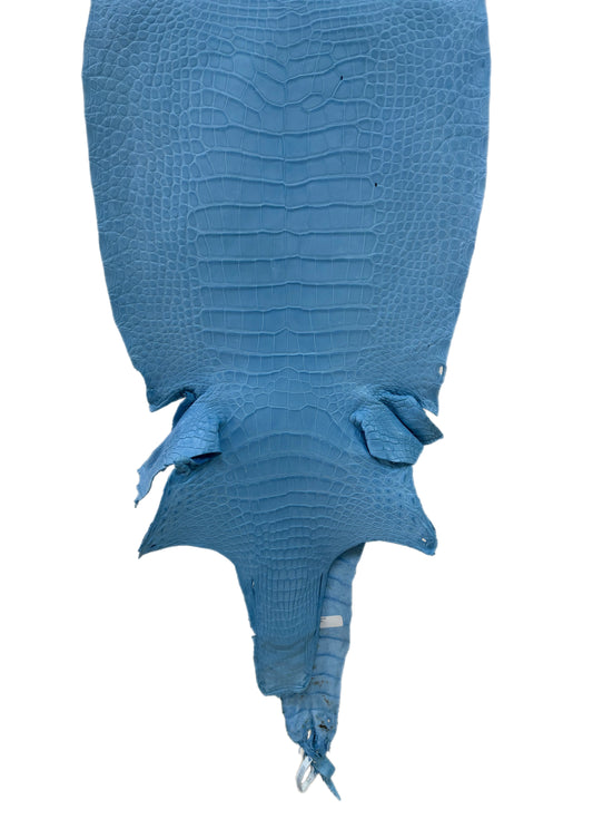41 cm Grade 3/4 Sky Blue Matte Wild American Alligator Leather - Tag: LA23-0029515