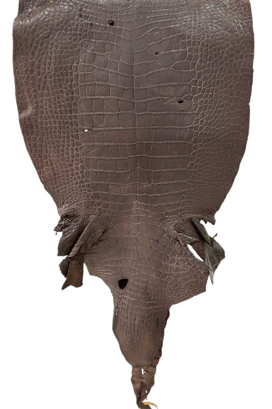 49 cm Grade 4/5 Chocolate Matte Wild American Alligator Leather - Tag: LA23-0002006