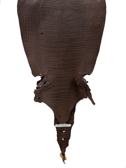 40 cm Grade 3/4 Chocolate Matte Wild American Alligator Leather - Tag: LA23-0005529