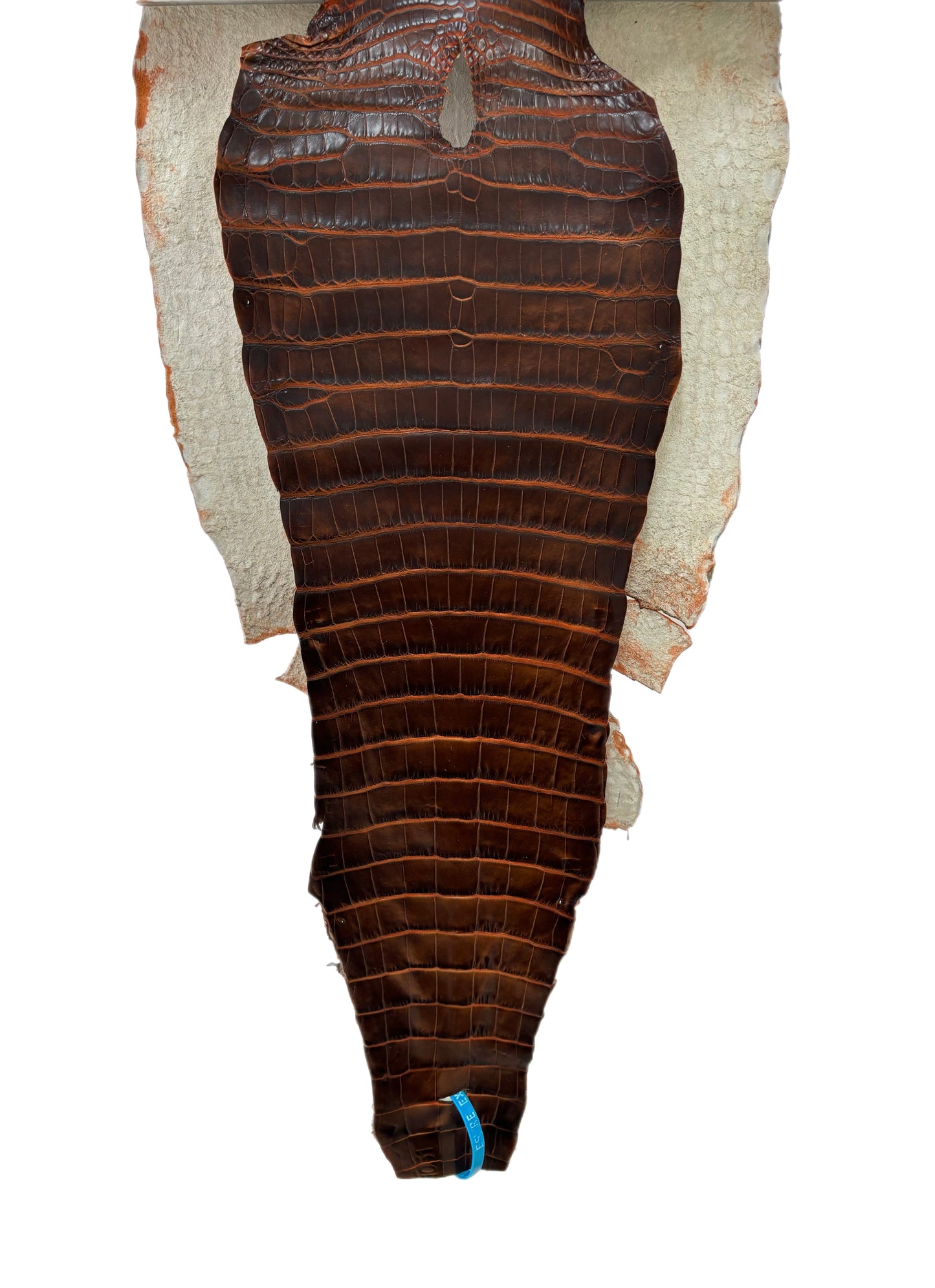 34 cm Grade 1/2 Sienna Matte Wild American Alligator Leather - Tag: ESRE-0050776
