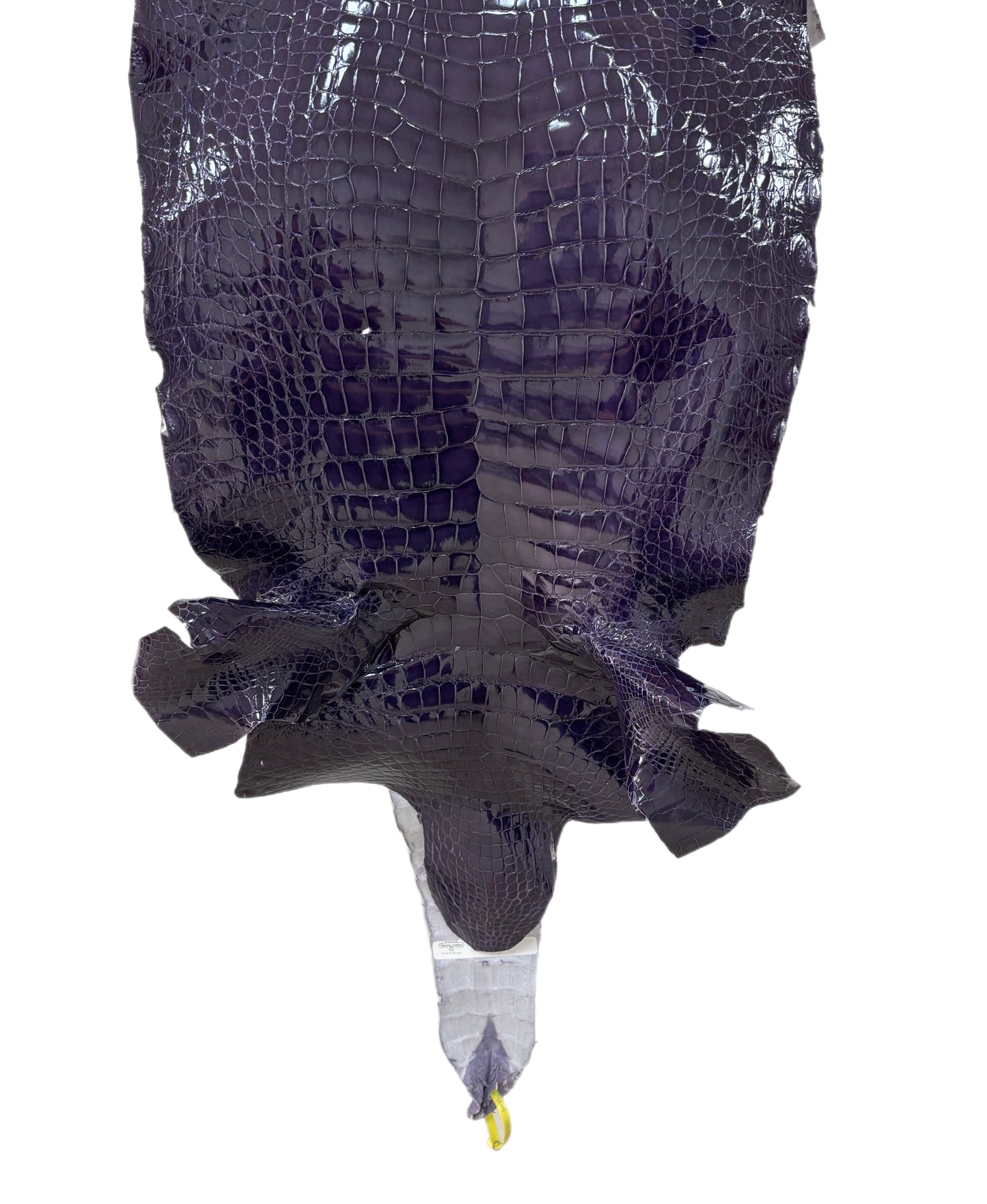 42 cm Grade 2/3 Viola Glazed Wild American Alligator Leather - Tag: LA22-0016758