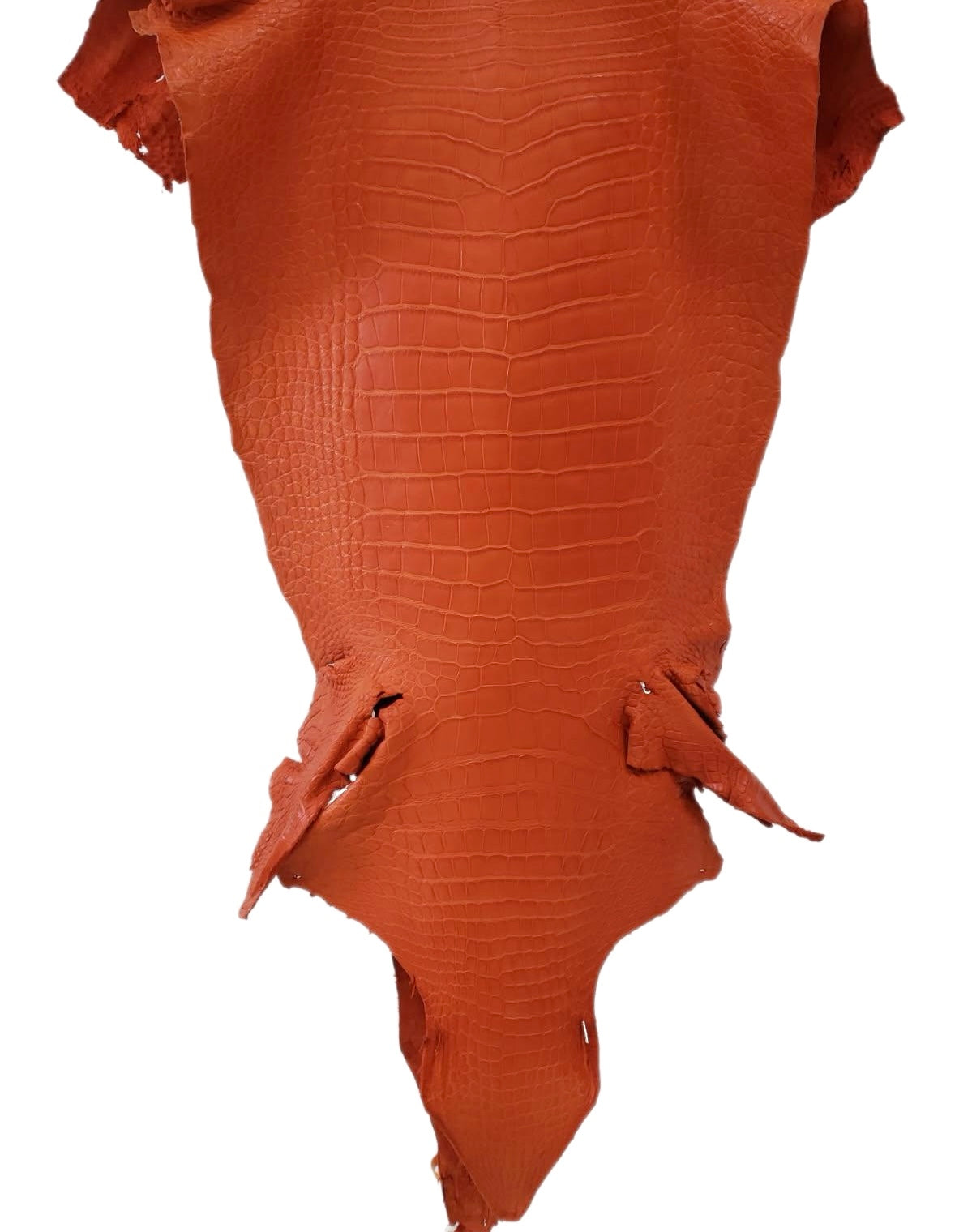 46 cm Grade 2/3 Orange Matte Wild American Alligator Leather - Tag: LA23-0015470