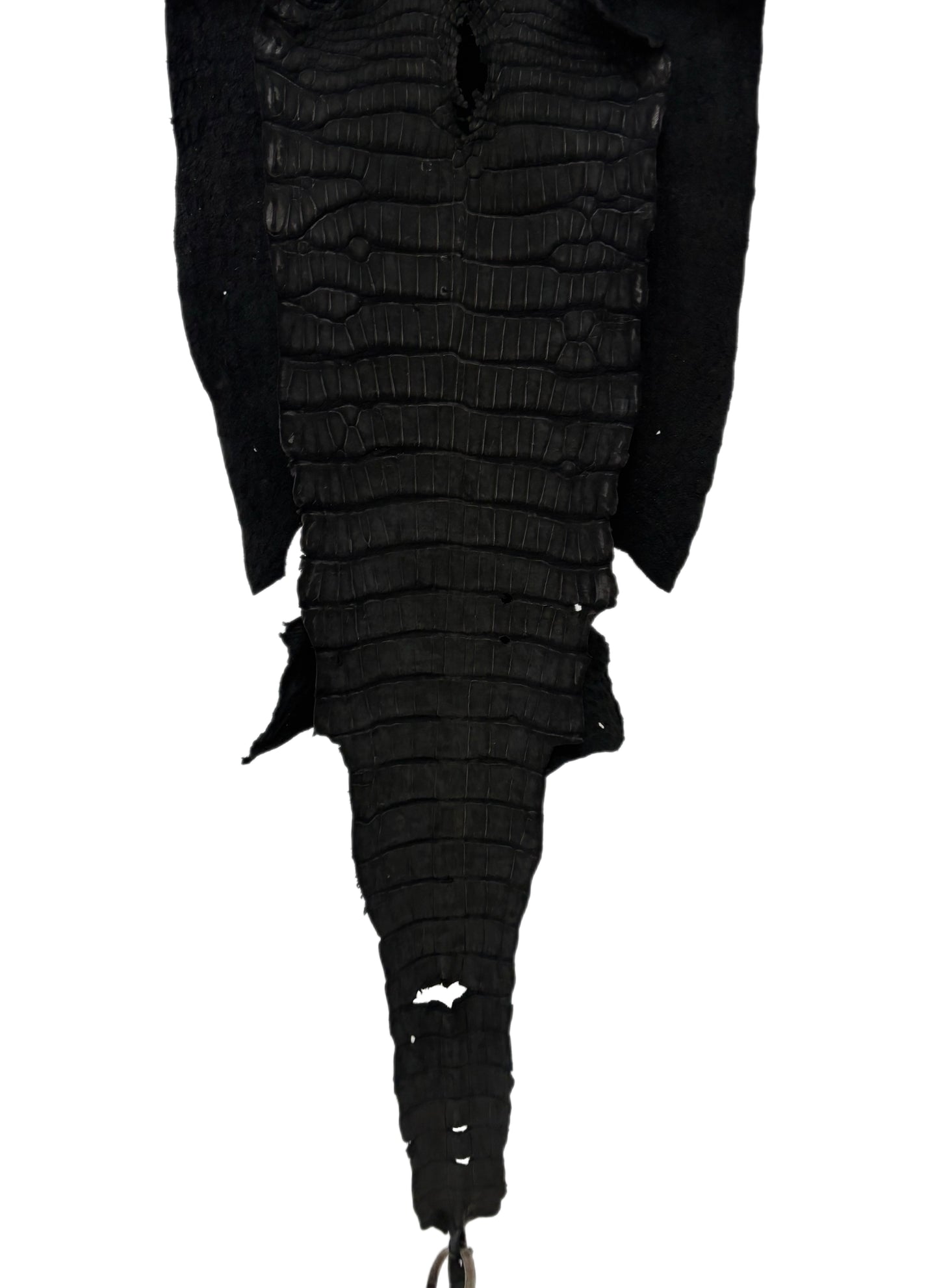 37 cm Grade 3/4 Black Nubuck Wild American Alligator Leather - Tag: LA23-0003712