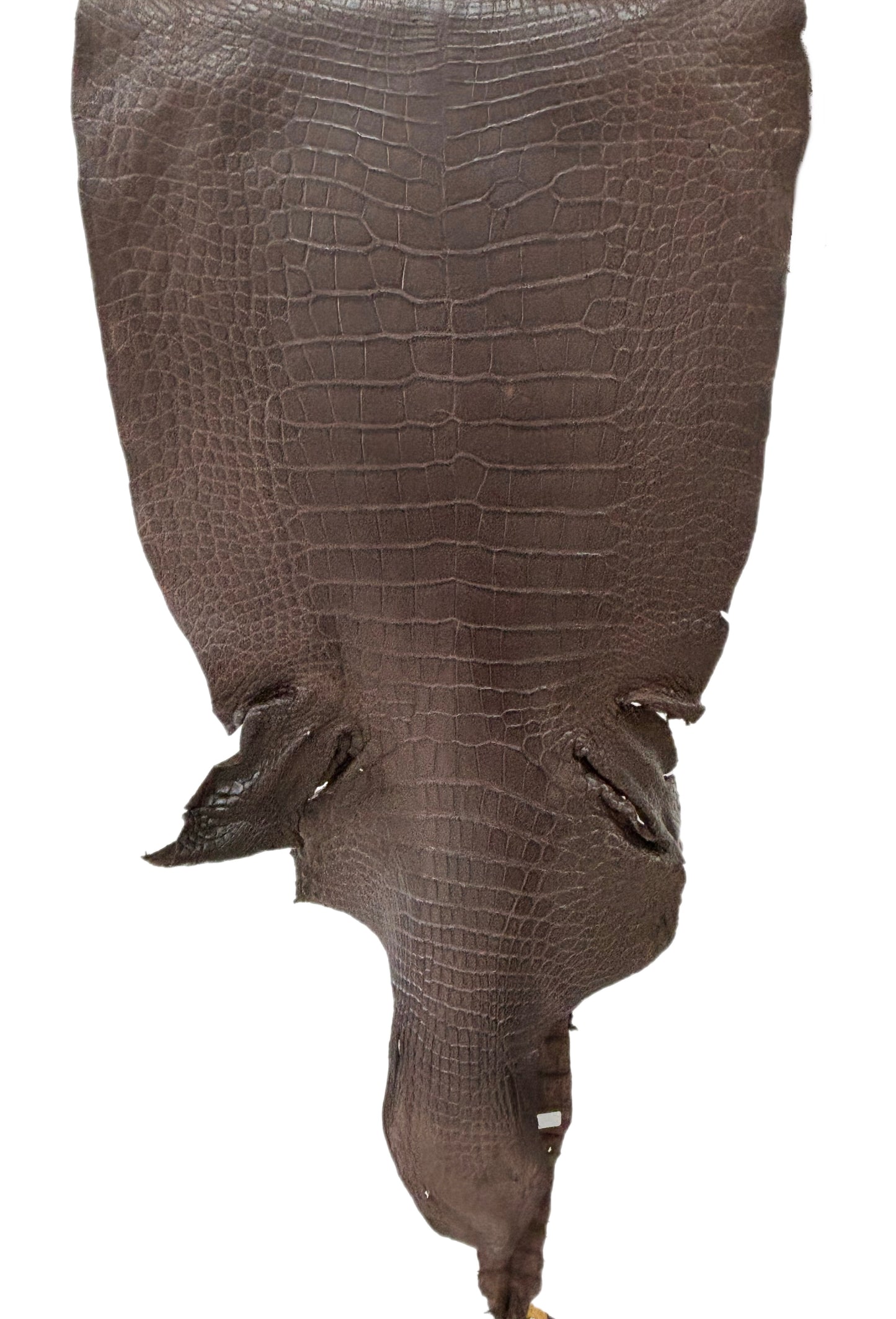 45 cm Grade 3/4 Chocolate Matte Wild American Alligator Leather - Tag: LA23-0003699