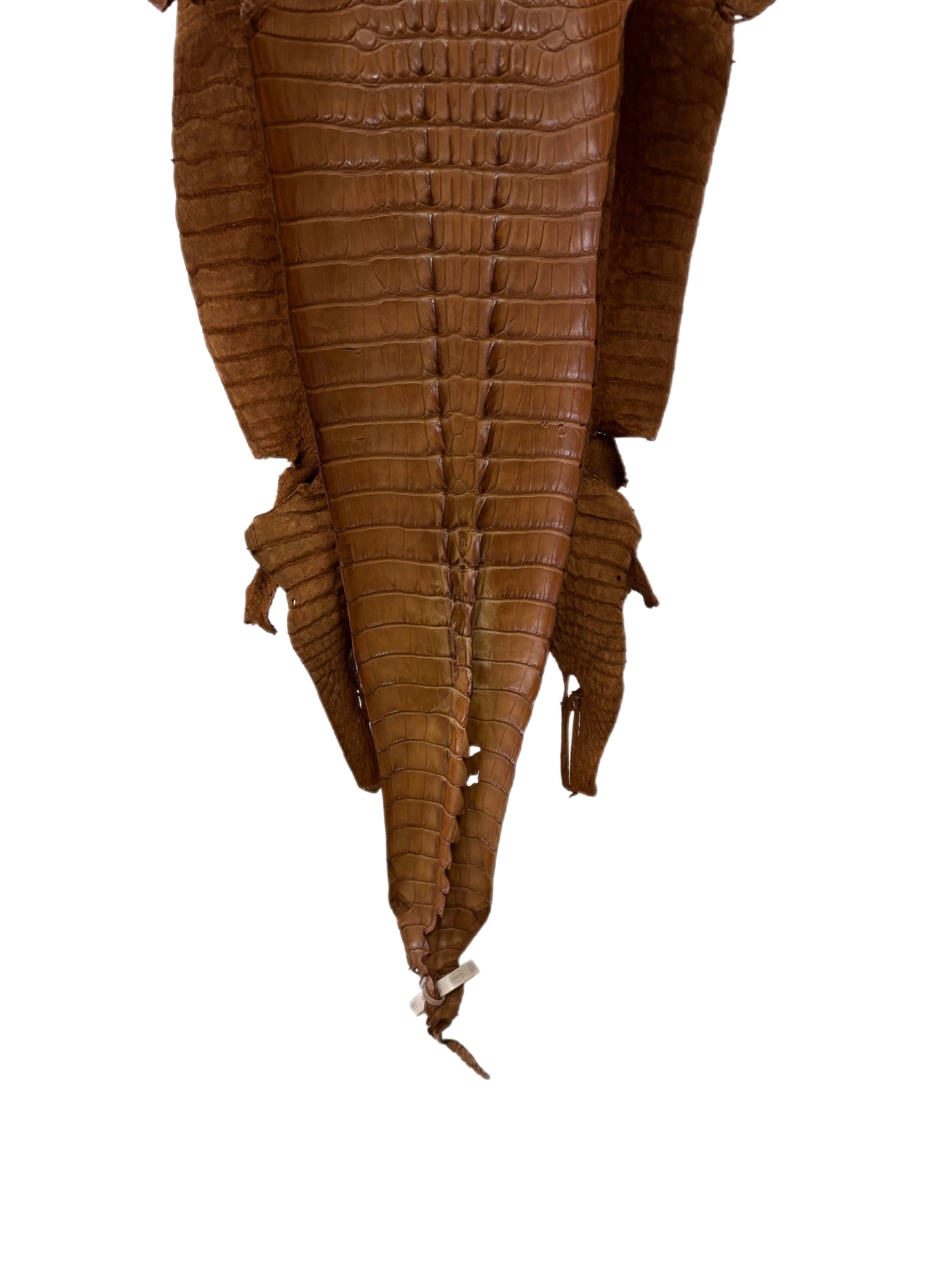 34 cm Grade 1/2 Kango Tabac Matte Farm-Raised American Alligator Leather - Tag: LA23-0377159