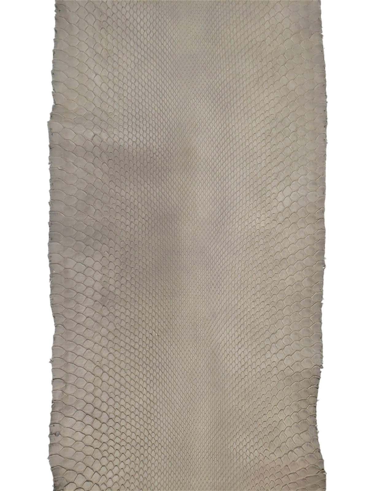 2.7 M Front Cut Beige Matte Python Leather