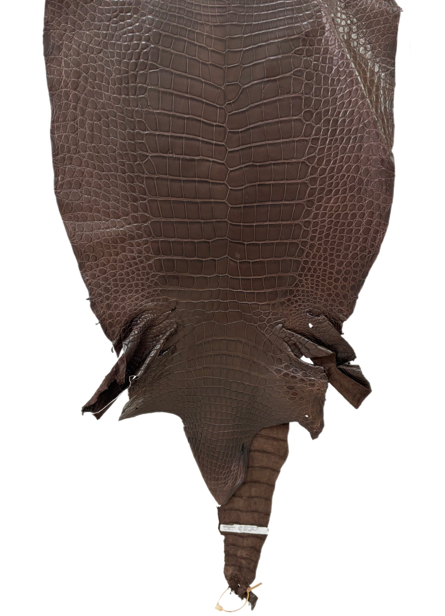 49 cm Grade 2/3 Chocolate Matte Wild American Alligator Leather - Tag: LA23-0017519