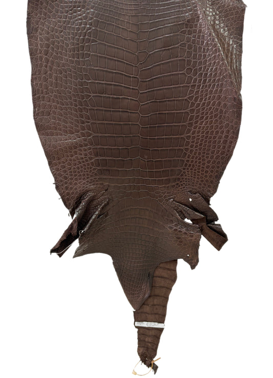 49 cm Grade 2/3 Chocolate Matte Wild American Alligator Leather - Tag: LA23-0017519