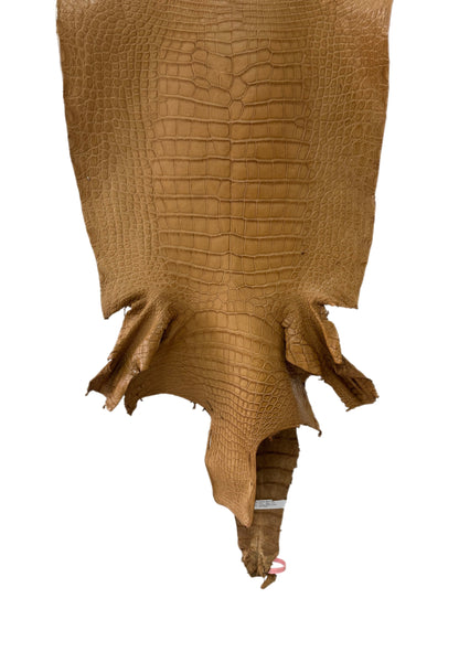 49 cm Grade 3/4 Antique Saddle Matte Wild American Alligator Leather - Tag: LA24-0011720