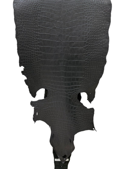 48 cm Grade 2/3 Black Matte Wild American Alligator Leather - Tag: LA22-0021489