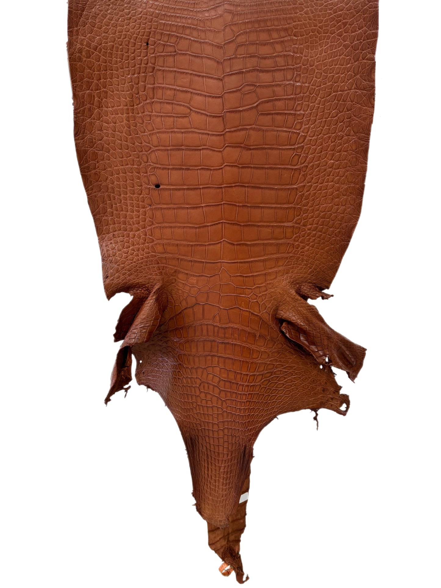 44 cm Grade 2/3 Cognac Matte Wild American Alligator Leather - Tag: LA24-0039939