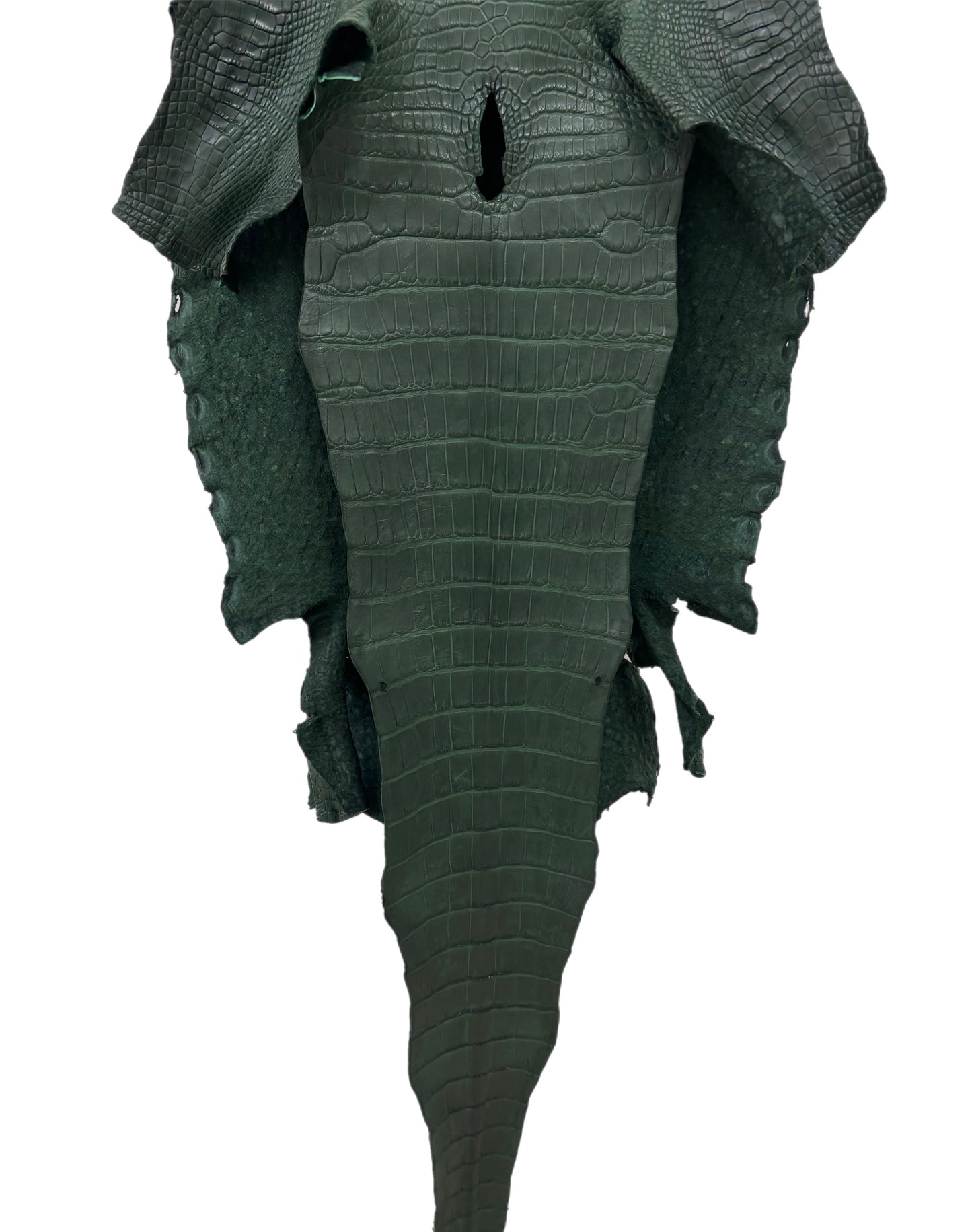 37 cm Grade 2/3 Forest Green Matte Wild American Alligator Leather - Tag: LA23-0051964
