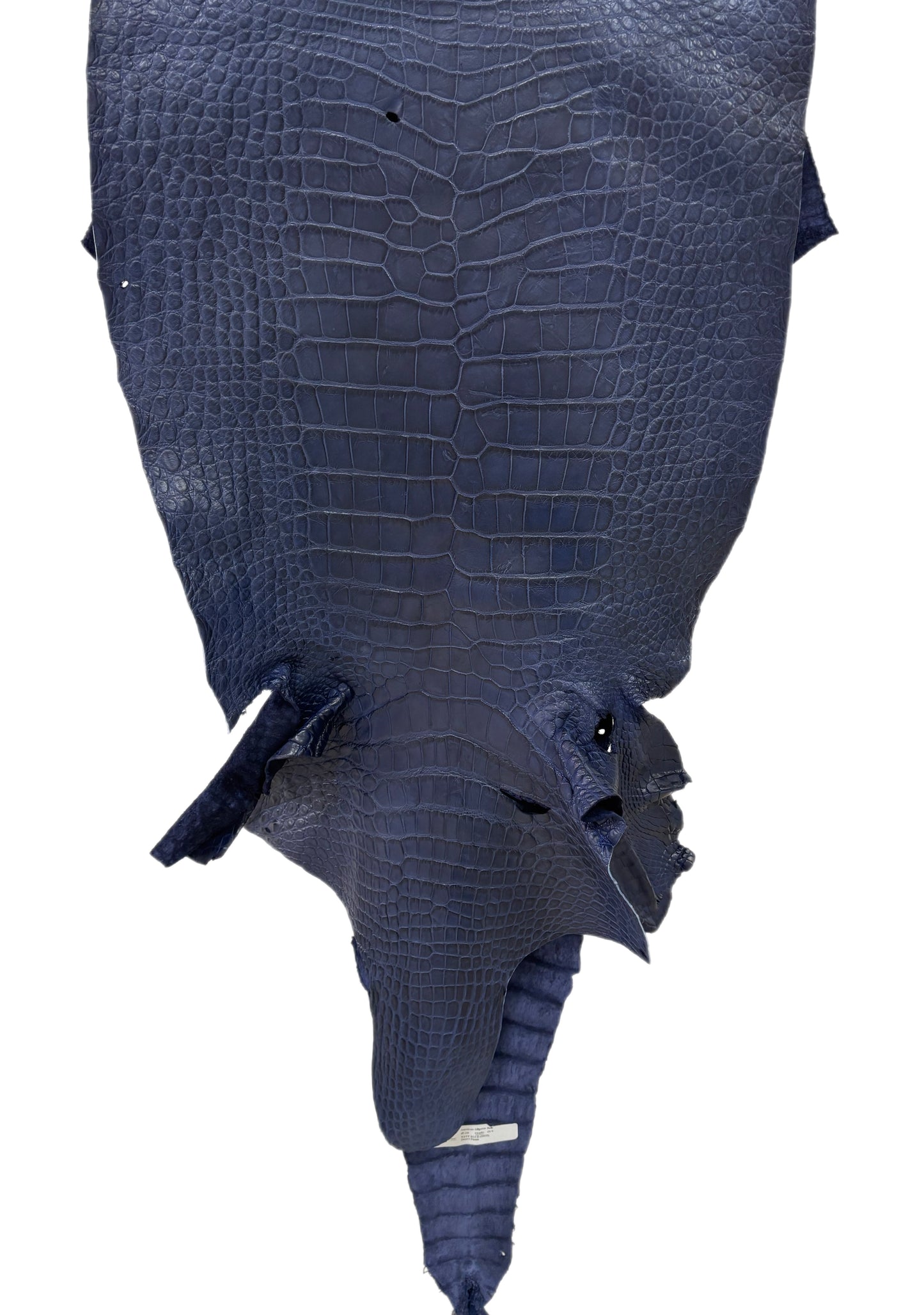45 cm Grade 4/5 Navy Blue Desert Wild American Alligator Leather - Tag: LA24-0040013